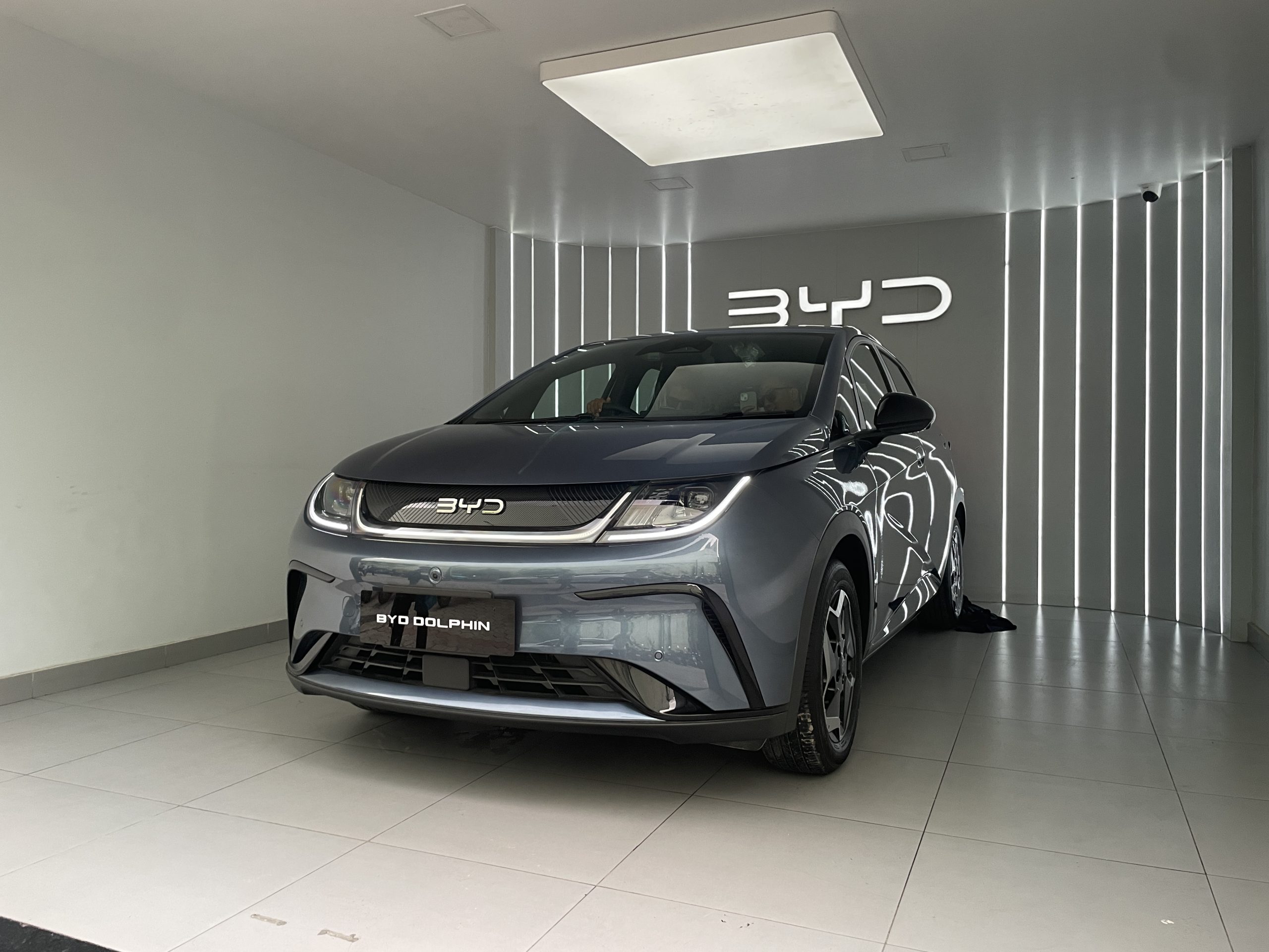 BYD Dolphin in Nepal