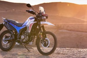 The rugged Hero Xpulse 210 adventure motorcycle showing off its tall windscreen and high-mounted front fender on a dirt trail