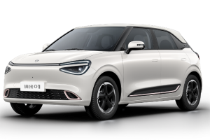 Dongfeng Nammi Box E2